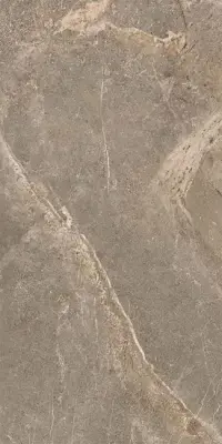 Çanakkale Seramik Salvia Taupe Parlak Duvar Karosu 30x60