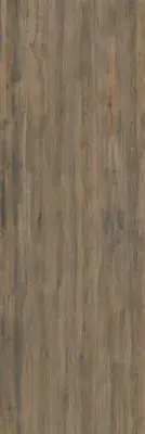 Çanakkale Seramik EC Plank BG 111 Mat Sinterflex Porselen Karo 100x150