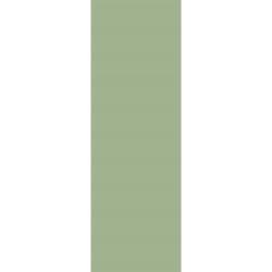 VitrA 10x30, Color 2.0, Fon, Açık Yeşil, RAL 130 70 20 Açık Yeşil